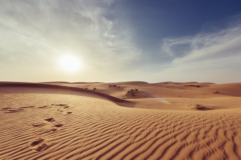 Desert Exploration